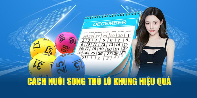 Cách nuôi song thủ lô khung hiệu quả