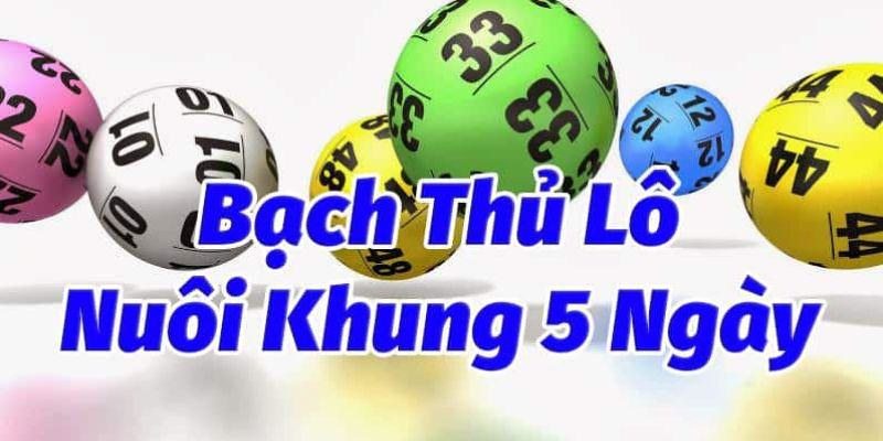 Khám phá soi cầu lô khung 5 ngày