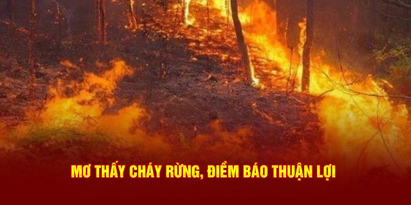 Mơ thấy cháy rừng, con số may mắn