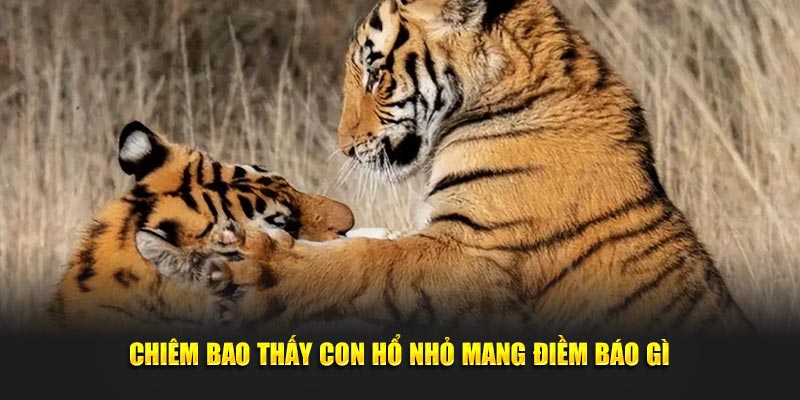 Chiêm bao thấy con hổ nhỏ mang điềm báo gì