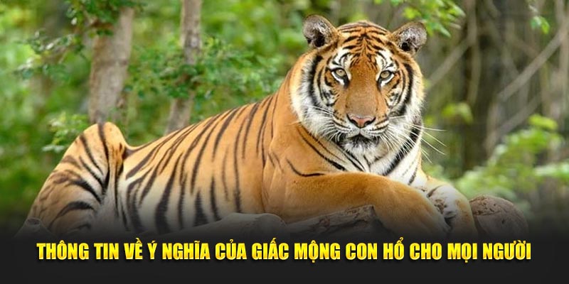 Thông tin về ý nghĩa của giấc mộng con hổ cho mọi người