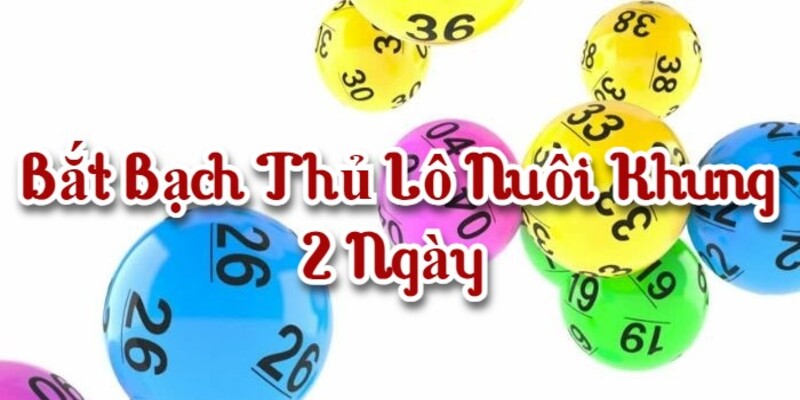 +2 cách đề bạch thủ 2 ngày đỉnh như cao thủ cho người mới