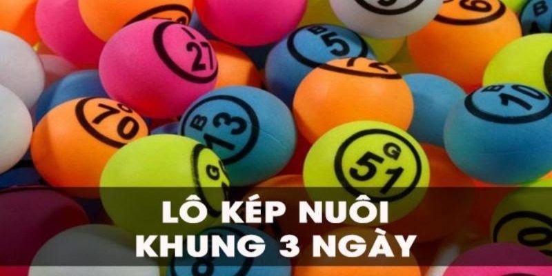 Kỹ thuật nuôi lô kép khung 3 ngày đạt hiệu quả cao