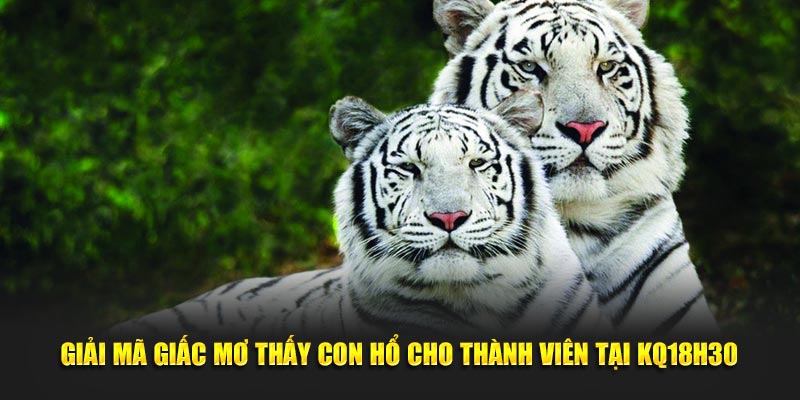 mơ thấy con hổ